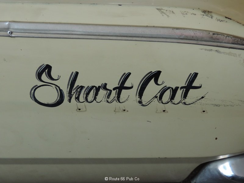 Shart Cat Logo