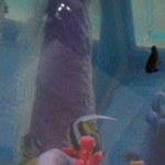 Highlander aquarium