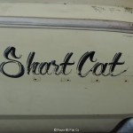 Shart Cat 67 Dart by Gas Monkey Garage