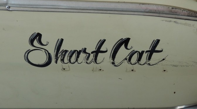 Shart Cat 67 Dart by Gas Monkey Garage