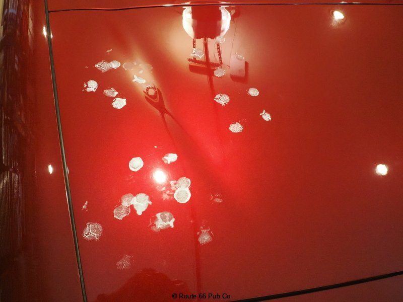 Applied Paint Correction